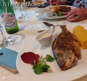 [P18] Dorada comandată de o colegă » foto by Michi
 - 
<span class="allrVoted glyphicon glyphicon-heart hidden" id="av1418002"></span>
<a class="m-l-10 hidden" id="sv1418002" onclick="voting_Foto_DelVot(,1418002,4083)" role="button">șterge vot <span class="glyphicon glyphicon-remove"></span></a>
<a id="v91418002" class=" c-red"  onclick="voting_Foto_SetVot(1418002)" role="button"><span class="glyphicon glyphicon-heart-empty"></span> <b>LIKE</b> = Votează poza</a> <img class="hidden"  id="f1418002W9" src="/imagini/loader.gif" border="0" /><span class="AjErrMes hidden" id="e1418002ErM"></span>