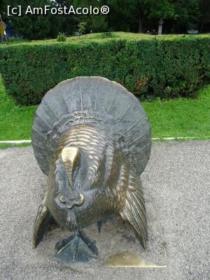 [P18] „Curcanul” - Parcul Herăstrău. » foto by tata123 🔱
 - 
<span class="allrVoted glyphicon glyphicon-heart hidden" id="av1168609"></span>
<a class="m-l-10 hidden" id="sv1168609" onclick="voting_Foto_DelVot(,1168609,4083)" role="button">șterge vot <span class="glyphicon glyphicon-remove"></span></a>
<a id="v91168609" class=" c-red"  onclick="voting_Foto_SetVot(1168609)" role="button"><span class="glyphicon glyphicon-heart-empty"></span> <b>LIKE</b> = Votează poza</a> <img class="hidden"  id="f1168609W9" src="/imagini/loader.gif" border="0" /><span class="AjErrMes hidden" id="e1168609ErM"></span>