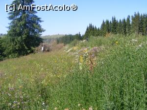 [P30] Natura vie (munte, padure, poiana) la poale de munte, in apropiere de Piatra Fantanele. Ne-a trebuit o ora ca sa ne convingem sa mergem spre casa.  » foto by liviu49
 - 
<span class="allrVoted glyphicon glyphicon-heart hidden" id="av1035968"></span>
<a class="m-l-10 hidden" id="sv1035968" onclick="voting_Foto_DelVot(,1035968,4091)" role="button">șterge vot <span class="glyphicon glyphicon-remove"></span></a>
<a id="v91035968" class=" c-red"  onclick="voting_Foto_SetVot(1035968)" role="button"><span class="glyphicon glyphicon-heart-empty"></span> <b>LIKE</b> = Votează poza</a> <img class="hidden"  id="f1035968W9" src="/imagini/loader.gif" border="0" /><span class="AjErrMes hidden" id="e1035968ErM"></span>