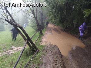 [P10]  -- <small>// FĂRĂ DESCRIERE</small> » foto by Marius 72
 - 
<span class="allrVoted glyphicon glyphicon-heart hidden" id="av1495788"></span>
<a class="m-l-10 hidden" id="sv1495788" onclick="voting_Foto_DelVot(,1495788,4091)" role="button">șterge vot <span class="glyphicon glyphicon-remove"></span></a>
<a id="v91495788" class=" c-red"  onclick="voting_Foto_SetVot(1495788)" role="button"><span class="glyphicon glyphicon-heart-empty"></span> <b>LIKE</b> = Votează poza</a> <img class="hidden"  id="f1495788W9" src="/imagini/loader.gif" border="0" /><span class="AjErrMes hidden" id="e1495788ErM"></span>