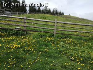 [P12]  -- <small>// FĂRĂ DESCRIERE</small> » foto by Marius 72
 - 
<span class="allrVoted glyphicon glyphicon-heart hidden" id="av1495790"></span>
<a class="m-l-10 hidden" id="sv1495790" onclick="voting_Foto_DelVot(,1495790,4091)" role="button">șterge vot <span class="glyphicon glyphicon-remove"></span></a>
<a id="v91495790" class=" c-red"  onclick="voting_Foto_SetVot(1495790)" role="button"><span class="glyphicon glyphicon-heart-empty"></span> <b>LIKE</b> = Votează poza</a> <img class="hidden"  id="f1495790W9" src="/imagini/loader.gif" border="0" /><span class="AjErrMes hidden" id="e1495790ErM"></span>