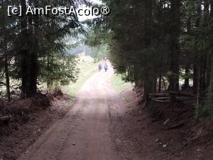 [P15]  -- <small>// FĂRĂ DESCRIERE</small> » foto by Marius 72
 - 
<span class="allrVoted glyphicon glyphicon-heart hidden" id="av1495793"></span>
<a class="m-l-10 hidden" id="sv1495793" onclick="voting_Foto_DelVot(,1495793,4091)" role="button">șterge vot <span class="glyphicon glyphicon-remove"></span></a>
<a id="v91495793" class=" c-red"  onclick="voting_Foto_SetVot(1495793)" role="button"><span class="glyphicon glyphicon-heart-empty"></span> <b>LIKE</b> = Votează poza</a> <img class="hidden"  id="f1495793W9" src="/imagini/loader.gif" border="0" /><span class="AjErrMes hidden" id="e1495793ErM"></span>