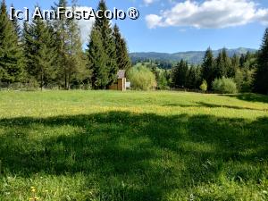 [P18]  -- <small>// FĂRĂ DESCRIERE</small> » foto by Marius 72
 - 
<span class="allrVoted glyphicon glyphicon-heart hidden" id="av1495796"></span>
<a class="m-l-10 hidden" id="sv1495796" onclick="voting_Foto_DelVot(,1495796,4091)" role="button">șterge vot <span class="glyphicon glyphicon-remove"></span></a>
<a id="v91495796" class=" c-red"  onclick="voting_Foto_SetVot(1495796)" role="button"><span class="glyphicon glyphicon-heart-empty"></span> <b>LIKE</b> = Votează poza</a> <img class="hidden"  id="f1495796W9" src="/imagini/loader.gif" border="0" /><span class="AjErrMes hidden" id="e1495796ErM"></span>