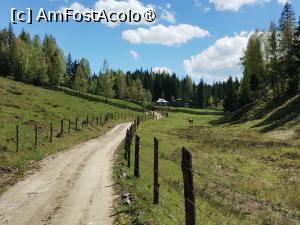 [P19]  -- <small>// FĂRĂ DESCRIERE</small> » foto by Marius 72
 - 
<span class="allrVoted glyphicon glyphicon-heart hidden" id="av1495797"></span>
<a class="m-l-10 hidden" id="sv1495797" onclick="voting_Foto_DelVot(,1495797,4091)" role="button">șterge vot <span class="glyphicon glyphicon-remove"></span></a>
<a id="v91495797" class=" c-red"  onclick="voting_Foto_SetVot(1495797)" role="button"><span class="glyphicon glyphicon-heart-empty"></span> <b>LIKE</b> = Votează poza</a> <img class="hidden"  id="f1495797W9" src="/imagini/loader.gif" border="0" /><span class="AjErrMes hidden" id="e1495797ErM"></span>