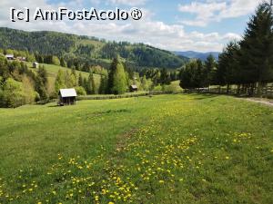 [P21]  -- <small>// FĂRĂ DESCRIERE</small> » foto by Marius 72
 - 
<span class="allrVoted glyphicon glyphicon-heart hidden" id="av1495799"></span>
<a class="m-l-10 hidden" id="sv1495799" onclick="voting_Foto_DelVot(,1495799,4091)" role="button">șterge vot <span class="glyphicon glyphicon-remove"></span></a>
<a id="v91495799" class=" c-red"  onclick="voting_Foto_SetVot(1495799)" role="button"><span class="glyphicon glyphicon-heart-empty"></span> <b>LIKE</b> = Votează poza</a> <img class="hidden"  id="f1495799W9" src="/imagini/loader.gif" border="0" /><span class="AjErrMes hidden" id="e1495799ErM"></span>