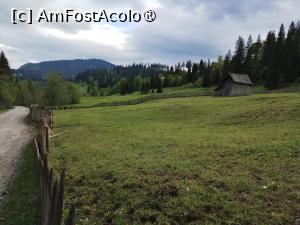 [P08]  -- <small>// FĂRĂ DESCRIERE</small> » foto by Marius 72
 - 
<span class="allrVoted glyphicon glyphicon-heart hidden" id="av1495786"></span>
<a class="m-l-10 hidden" id="sv1495786" onclick="voting_Foto_DelVot(,1495786,4091)" role="button">șterge vot <span class="glyphicon glyphicon-remove"></span></a>
<a id="v91495786" class=" c-red"  onclick="voting_Foto_SetVot(1495786)" role="button"><span class="glyphicon glyphicon-heart-empty"></span> <b>LIKE</b> = Votează poza</a> <img class="hidden"  id="f1495786W9" src="/imagini/loader.gif" border="0" /><span class="AjErrMes hidden" id="e1495786ErM"></span>