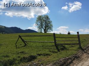 [P09]  -- <small>// FĂRĂ DESCRIERE</small> » foto by Marius 72
 - 
<span class="allrVoted glyphicon glyphicon-heart hidden" id="av1495787"></span>
<a class="m-l-10 hidden" id="sv1495787" onclick="voting_Foto_DelVot(,1495787,4091)" role="button">șterge vot <span class="glyphicon glyphicon-remove"></span></a>
<a id="v91495787" class=" c-red"  onclick="voting_Foto_SetVot(1495787)" role="button"><span class="glyphicon glyphicon-heart-empty"></span> <b>LIKE</b> = Votează poza</a> <img class="hidden"  id="f1495787W9" src="/imagini/loader.gif" border="0" /><span class="AjErrMes hidden" id="e1495787ErM"></span>