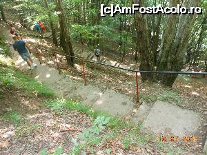 [P11] Cetatea Poienari - Pe scara din pădure, 'mulți coboară și mulți suie. ' » foto by iulianic
 - 
<span class="allrVoted glyphicon glyphicon-heart hidden" id="av694967"></span>
<a class="m-l-10 hidden" id="sv694967" onclick="voting_Foto_DelVot(,694967,4095)" role="button">șterge vot <span class="glyphicon glyphicon-remove"></span></a>
<a id="v9694967" class=" c-red"  onclick="voting_Foto_SetVot(694967)" role="button"><span class="glyphicon glyphicon-heart-empty"></span> <b>LIKE</b> = Votează poza</a> <img class="hidden"  id="f694967W9" src="/imagini/loader.gif" border="0" /><span class="AjErrMes hidden" id="e694967ErM"></span>