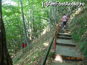 [P12] Cetatea Poienari - În iulie, urcând la cetate, pădurea este o încântare.  » foto by iulianic
 - 
<span class="allrVoted glyphicon glyphicon-heart hidden" id="av694968"></span>
<a class="m-l-10 hidden" id="sv694968" onclick="voting_Foto_DelVot(,694968,4095)" role="button">șterge vot <span class="glyphicon glyphicon-remove"></span></a>
<a id="v9694968" class=" c-red"  onclick="voting_Foto_SetVot(694968)" role="button"><span class="glyphicon glyphicon-heart-empty"></span> <b>LIKE</b> = Votează poza</a> <img class="hidden"  id="f694968W9" src="/imagini/loader.gif" border="0" /><span class="AjErrMes hidden" id="e694968ErM"></span>