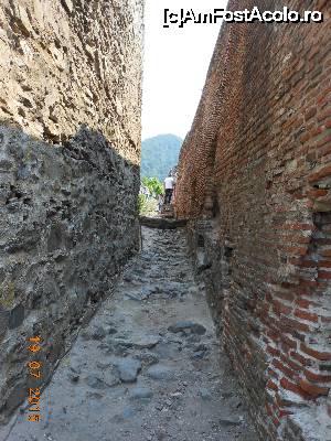 [P35] Cetatea Poienari - Între zidurile cetății.  » foto by iulianic
 - 
<span class="allrVoted glyphicon glyphicon-heart hidden" id="av694991"></span>
<a class="m-l-10 hidden" id="sv694991" onclick="voting_Foto_DelVot(,694991,4095)" role="button">șterge vot <span class="glyphicon glyphicon-remove"></span></a>
<a id="v9694991" class=" c-red"  onclick="voting_Foto_SetVot(694991)" role="button"><span class="glyphicon glyphicon-heart-empty"></span> <b>LIKE</b> = Votează poza</a> <img class="hidden"  id="f694991W9" src="/imagini/loader.gif" border="0" /><span class="AjErrMes hidden" id="e694991ErM"></span>
