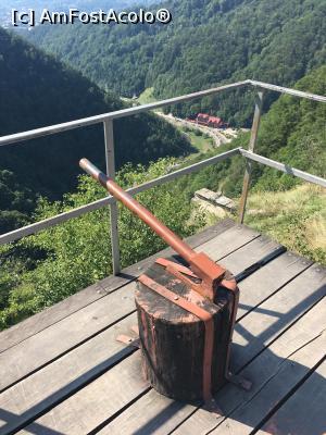 [P29] Sau, mai scurt de-un cap! Erau vremuri grele pe-atunci!  » foto by Yersinia Pestis
 - 
<span class="allrVoted glyphicon glyphicon-heart hidden" id="av903532"></span>
<a class="m-l-10 hidden" id="sv903532" onclick="voting_Foto_DelVot(,903532,4095)" role="button">șterge vot <span class="glyphicon glyphicon-remove"></span></a>
<a id="v9903532" class=" c-red"  onclick="voting_Foto_SetVot(903532)" role="button"><span class="glyphicon glyphicon-heart-empty"></span> <b>LIKE</b> = Votează poza</a> <img class="hidden"  id="f903532W9" src="/imagini/loader.gif" border="0" /><span class="AjErrMes hidden" id="e903532ErM"></span>