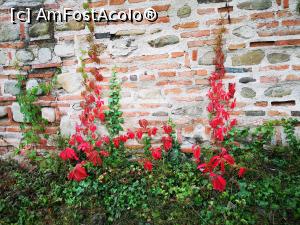 [P08] Toamna la Brebu » foto by crismis
 - 
<span class="allrVoted glyphicon glyphicon-heart hidden" id="av1213350"></span>
<a class="m-l-10 hidden" id="sv1213350" onclick="voting_Foto_DelVot(,1213350,4099)" role="button">șterge vot <span class="glyphicon glyphicon-remove"></span></a>
<a id="v91213350" class=" c-red"  onclick="voting_Foto_SetVot(1213350)" role="button"><span class="glyphicon glyphicon-heart-empty"></span> <b>LIKE</b> = Votează poza</a> <img class="hidden"  id="f1213350W9" src="/imagini/loader.gif" border="0" /><span class="AjErrMes hidden" id="e1213350ErM"></span>