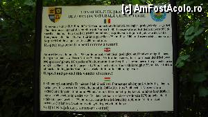 [P03]  -- <small>// FĂRĂ DESCRIERE</small> » foto by Remicade
 - 
<span class="allrVoted glyphicon glyphicon-heart hidden" id="av344706"></span>
<a class="m-l-10 hidden" id="sv344706" onclick="voting_Foto_DelVot(,344706,4100)" role="button">șterge vot <span class="glyphicon glyphicon-remove"></span></a>
<a id="v9344706" class=" c-red"  onclick="voting_Foto_SetVot(344706)" role="button"><span class="glyphicon glyphicon-heart-empty"></span> <b>LIKE</b> = Votează poza</a> <img class="hidden"  id="f344706W9" src="/imagini/loader.gif" border="0" /><span class="AjErrMes hidden" id="e344706ErM"></span>