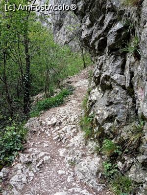 [P20] Cheile Turzii, jud. Cluj, mai 2017 » foto by Dana2008
 - 
<span class="allrVoted glyphicon glyphicon-heart hidden" id="av855651"></span>
<a class="m-l-10 hidden" id="sv855651" onclick="voting_Foto_DelVot(,855651,4100)" role="button">șterge vot <span class="glyphicon glyphicon-remove"></span></a>
<a id="v9855651" class=" c-red"  onclick="voting_Foto_SetVot(855651)" role="button"><span class="glyphicon glyphicon-heart-empty"></span> <b>LIKE</b> = Votează poza</a> <img class="hidden"  id="f855651W9" src="/imagini/loader.gif" border="0" /><span class="AjErrMes hidden" id="e855651ErM"></span>