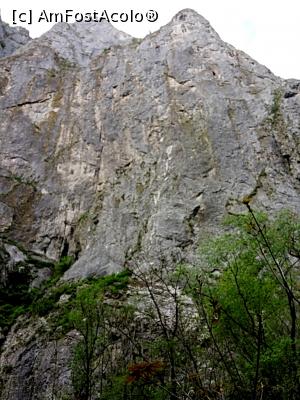 [P22] Cheile Turzii, jud. Cluj, mai 2017 » foto by Dana2008
 - 
<span class="allrVoted glyphicon glyphicon-heart hidden" id="av855656"></span>
<a class="m-l-10 hidden" id="sv855656" onclick="voting_Foto_DelVot(,855656,4100)" role="button">șterge vot <span class="glyphicon glyphicon-remove"></span></a>
<a id="v9855656" class=" c-red"  onclick="voting_Foto_SetVot(855656)" role="button"><span class="glyphicon glyphicon-heart-empty"></span> <b>LIKE</b> = Votează poza</a> <img class="hidden"  id="f855656W9" src="/imagini/loader.gif" border="0" /><span class="AjErrMes hidden" id="e855656ErM"></span>