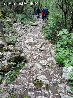 [P25] Cheile Turzii, jud. Cluj, mai 2017 » foto by Dana2008
 - 
<span class="allrVoted glyphicon glyphicon-heart hidden" id="av855660"></span>
<a class="m-l-10 hidden" id="sv855660" onclick="voting_Foto_DelVot(,855660,4100)" role="button">șterge vot <span class="glyphicon glyphicon-remove"></span></a>
<a id="v9855660" class=" c-red"  onclick="voting_Foto_SetVot(855660)" role="button"><span class="glyphicon glyphicon-heart-empty"></span> <b>LIKE</b> = Votează poza</a> <img class="hidden"  id="f855660W9" src="/imagini/loader.gif" border="0" /><span class="AjErrMes hidden" id="e855660ErM"></span>