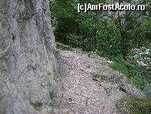 [P12] Cheile Turzii - o portiune mai periculoasa, in dreptul potecii e prapastie » foto by biancuta
 - 
<span class="allrVoted glyphicon glyphicon-heart hidden" id="av118026"></span>
<a class="m-l-10 hidden" id="sv118026" onclick="voting_Foto_DelVot(,118026,4100)" role="button">șterge vot <span class="glyphicon glyphicon-remove"></span></a>
<a id="v9118026" class=" c-red"  onclick="voting_Foto_SetVot(118026)" role="button"><span class="glyphicon glyphicon-heart-empty"></span> <b>LIKE</b> = Votează poza</a> <img class="hidden"  id="f118026W9" src="/imagini/loader.gif" border="0" /><span class="AjErrMes hidden" id="e118026ErM"></span>