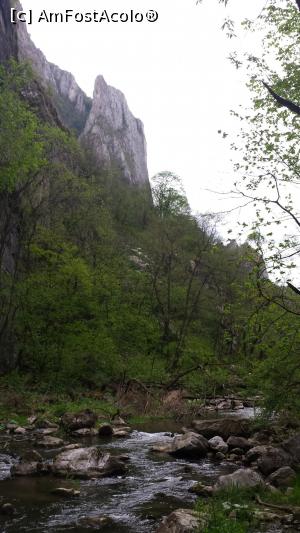 [P16] Cheile Turzii - colț de stâncă » foto by costy69*
 - 
<span class="allrVoted glyphicon glyphicon-heart hidden" id="av709869"></span>
<a class="m-l-10 hidden" id="sv709869" onclick="voting_Foto_DelVot(,709869,4100)" role="button">șterge vot <span class="glyphicon glyphicon-remove"></span></a>
<a id="v9709869" class=" c-red"  onclick="voting_Foto_SetVot(709869)" role="button"><span class="glyphicon glyphicon-heart-empty"></span> <b>LIKE</b> = Votează poza</a> <img class="hidden"  id="f709869W9" src="/imagini/loader.gif" border="0" /><span class="AjErrMes hidden" id="e709869ErM"></span>