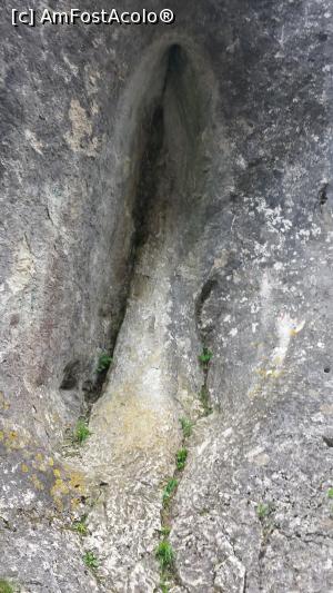 [P18] Cheile Turzii - firidă » foto by costy69*
 - 
<span class="allrVoted glyphicon glyphicon-heart hidden" id="av709871"></span>
<a class="m-l-10 hidden" id="sv709871" onclick="voting_Foto_DelVot(,709871,4100)" role="button">șterge vot <span class="glyphicon glyphicon-remove"></span></a>
<a id="v9709871" class=" c-red"  onclick="voting_Foto_SetVot(709871)" role="button"><span class="glyphicon glyphicon-heart-empty"></span> <b>LIKE</b> = Votează poza</a> <img class="hidden"  id="f709871W9" src="/imagini/loader.gif" border="0" /><span class="AjErrMes hidden" id="e709871ErM"></span>
