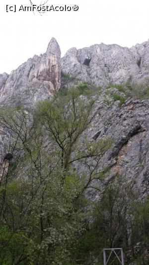 [P08] Cheile Turzii - Colț de stâncă, firide și mici grote » foto by costy69*
 - 
<span class="allrVoted glyphicon glyphicon-heart hidden" id="av709861"></span>
<a class="m-l-10 hidden" id="sv709861" onclick="voting_Foto_DelVot(,709861,4100)" role="button">șterge vot <span class="glyphicon glyphicon-remove"></span></a>
<a id="v9709861" class=" c-red"  onclick="voting_Foto_SetVot(709861)" role="button"><span class="glyphicon glyphicon-heart-empty"></span> <b>LIKE</b> = Votează poza</a> <img class="hidden"  id="f709861W9" src="/imagini/loader.gif" border="0" /><span class="AjErrMes hidden" id="e709861ErM"></span>