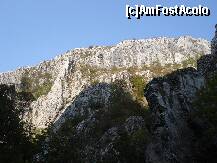 [P28]  -- <small>// FĂRĂ DESCRIERE</small> » foto by libertango
 - 
<span class="allrVoted glyphicon glyphicon-heart hidden" id="av208476"></span>
<a class="m-l-10 hidden" id="sv208476" onclick="voting_Foto_DelVot(,208476,4100)" role="button">șterge vot <span class="glyphicon glyphicon-remove"></span></a>
<a id="v9208476" class=" c-red"  onclick="voting_Foto_SetVot(208476)" role="button"><span class="glyphicon glyphicon-heart-empty"></span> <b>LIKE</b> = Votează poza</a> <img class="hidden"  id="f208476W9" src="/imagini/loader.gif" border="0" /><span class="AjErrMes hidden" id="e208476ErM"></span>