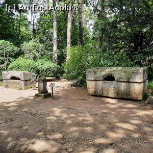 [P27] Cluj-Napoca, Grădina Botanică 'Alexandru Borza”, Grădina Romană, Sarcofage din secolul 3 d.Hr. și Altar Votiv » foto by mprofeanu
 - 
<span class="allrVoted glyphicon glyphicon-heart hidden" id="av1434804"></span>
<a class="m-l-10 hidden" id="sv1434804" onclick="voting_Foto_DelVot(,1434804,4148)" role="button">șterge vot <span class="glyphicon glyphicon-remove"></span></a>
<a id="v91434804" class=" c-red"  onclick="voting_Foto_SetVot(1434804)" role="button"><span class="glyphicon glyphicon-heart-empty"></span> <b>LIKE</b> = Votează poza</a> <img class="hidden"  id="f1434804W9" src="/imagini/loader.gif" border="0" /><span class="AjErrMes hidden" id="e1434804ErM"></span>