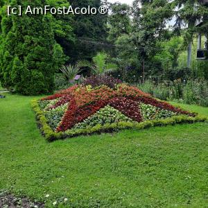 [P04] Cluj-Napoca, Grădina Botanică 'Alexandru Borza”, Sectorul Ornamental, Plante Floricole Anuale » foto by mprofeanu
 - 
<span class="allrVoted glyphicon glyphicon-heart hidden" id="av1434781"></span>
<a class="m-l-10 hidden" id="sv1434781" onclick="voting_Foto_DelVot(,1434781,4148)" role="button">șterge vot <span class="glyphicon glyphicon-remove"></span></a>
<a id="v91434781" class=" c-red"  onclick="voting_Foto_SetVot(1434781)" role="button"><span class="glyphicon glyphicon-heart-empty"></span> <b>LIKE</b> = Votează poza</a> <img class="hidden"  id="f1434781W9" src="/imagini/loader.gif" border="0" /><span class="AjErrMes hidden" id="e1434781ErM"></span>