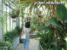 [P09] Apoi, iei la rand pavilion cu pavilion si strabati paradisul vegetal » foto by dorgo
 - 
<span class="allrVoted glyphicon glyphicon-heart hidden" id="av164710"></span>
<a class="m-l-10 hidden" id="sv164710" onclick="voting_Foto_DelVot(,164710,4148)" role="button">șterge vot <span class="glyphicon glyphicon-remove"></span></a>
<a id="v9164710" class=" c-red"  onclick="voting_Foto_SetVot(164710)" role="button"><span class="glyphicon glyphicon-heart-empty"></span> <b>LIKE</b> = Votează poza</a> <img class="hidden"  id="f164710W9" src="/imagini/loader.gif" border="0" /><span class="AjErrMes hidden" id="e164710ErM"></span>