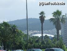 [P02]  -- <small>// FĂRĂ DESCRIERE</small> » foto by geta10
 - 
<span class="allrVoted glyphicon glyphicon-heart hidden" id="av204198"></span>
<a class="m-l-10 hidden" id="sv204198" onclick="voting_Foto_DelVot(,204198,4165)" role="button">șterge vot <span class="glyphicon glyphicon-remove"></span></a>
<a id="v9204198" class=" c-red"  onclick="voting_Foto_SetVot(204198)" role="button"><span class="glyphicon glyphicon-heart-empty"></span> <b>LIKE</b> = Votează poza</a> <img class="hidden"  id="f204198W9" src="/imagini/loader.gif" border="0" /><span class="AjErrMes hidden" id="e204198ErM"></span>