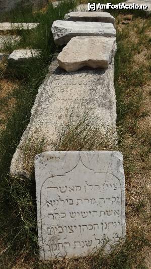 [P38] Amprente ale turcilor lăsate Rotondei » foto by bog68
 - 
<span class="allrVoted glyphicon glyphicon-heart hidden" id="av455180"></span>
<a class="m-l-10 hidden" id="sv455180" onclick="voting_Foto_DelVot(,455180,4165)" role="button">șterge vot <span class="glyphicon glyphicon-remove"></span></a>
<a id="v9455180" class=" c-red"  onclick="voting_Foto_SetVot(455180)" role="button"><span class="glyphicon glyphicon-heart-empty"></span> <b>LIKE</b> = Votează poza</a> <img class="hidden"  id="f455180W9" src="/imagini/loader.gif" border="0" /><span class="AjErrMes hidden" id="e455180ErM"></span>