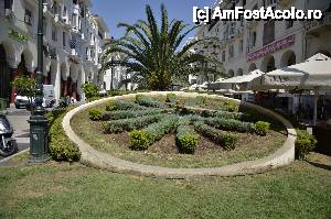 [P58] Piata Aristotelus » foto by Muffin2009*
 - 
<span class="allrVoted glyphicon glyphicon-heart hidden" id="av398054"></span>
<a class="m-l-10 hidden" id="sv398054" onclick="voting_Foto_DelVot(,398054,4165)" role="button">șterge vot <span class="glyphicon glyphicon-remove"></span></a>
<a id="v9398054" class=" c-red"  onclick="voting_Foto_SetVot(398054)" role="button"><span class="glyphicon glyphicon-heart-empty"></span> <b>LIKE</b> = Votează poza</a> <img class="hidden"  id="f398054W9" src="/imagini/loader.gif" border="0" /><span class="AjErrMes hidden" id="e398054ErM"></span>