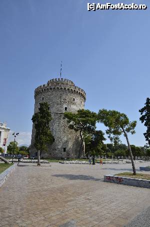 [P66] Turnul Alb » foto by Muffin2009*
 - 
<span class="allrVoted glyphicon glyphicon-heart hidden" id="av398062"></span>
<a class="m-l-10 hidden" id="sv398062" onclick="voting_Foto_DelVot(,398062,4165)" role="button">șterge vot <span class="glyphicon glyphicon-remove"></span></a>
<a id="v9398062" class=" c-red"  onclick="voting_Foto_SetVot(398062)" role="button"><span class="glyphicon glyphicon-heart-empty"></span> <b>LIKE</b> = Votează poza</a> <img class="hidden"  id="f398062W9" src="/imagini/loader.gif" border="0" /><span class="AjErrMes hidden" id="e398062ErM"></span>