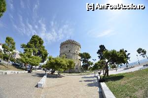 [P75] Turnul Alb » foto by Muffin2009*
 - 
<span class="allrVoted glyphicon glyphicon-heart hidden" id="av398071"></span>
<a class="m-l-10 hidden" id="sv398071" onclick="voting_Foto_DelVot(,398071,4165)" role="button">șterge vot <span class="glyphicon glyphicon-remove"></span></a>
<a id="v9398071" class=" c-red"  onclick="voting_Foto_SetVot(398071)" role="button"><span class="glyphicon glyphicon-heart-empty"></span> <b>LIKE</b> = Votează poza</a> <img class="hidden"  id="f398071W9" src="/imagini/loader.gif" border="0" /><span class="AjErrMes hidden" id="e398071ErM"></span>