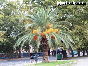 [P15] Prin Salonic.  » foto by melena
 - 
<span class="allrVoted glyphicon glyphicon-heart hidden" id="av651507"></span>
<a class="m-l-10 hidden" id="sv651507" onclick="voting_Foto_DelVot(,651507,4165)" role="button">șterge vot <span class="glyphicon glyphicon-remove"></span></a>
<a id="v9651507" class=" c-red"  onclick="voting_Foto_SetVot(651507)" role="button"><span class="glyphicon glyphicon-heart-empty"></span> <b>LIKE</b> = Votează poza</a> <img class="hidden"  id="f651507W9" src="/imagini/loader.gif" border="0" /><span class="AjErrMes hidden" id="e651507ErM"></span>