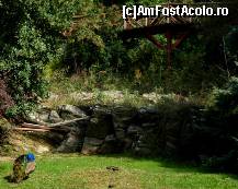 [P12] la gradina zoologica » foto by Mixaela
 - 
<span class="allrVoted glyphicon glyphicon-heart hidden" id="av493057"></span>
<a class="m-l-10 hidden" id="sv493057" onclick="voting_Foto_DelVot(,493057,4165)" role="button">șterge vot <span class="glyphicon glyphicon-remove"></span></a>
<a id="v9493057" class=" c-red"  onclick="voting_Foto_SetVot(493057)" role="button"><span class="glyphicon glyphicon-heart-empty"></span> <b>LIKE</b> = Votează poza</a> <img class="hidden"  id="f493057W9" src="/imagini/loader.gif" border="0" /><span class="AjErrMes hidden" id="e493057ErM"></span>