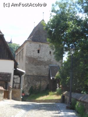 [P40]  -- <small>// FĂRĂ DESCRIERE</small> » foto by iulianic
 - 
<span class="allrVoted glyphicon glyphicon-heart hidden" id="av1320016"></span>
<a class="m-l-10 hidden" id="sv1320016" onclick="voting_Foto_DelVot(,1320016,4175)" role="button">șterge vot <span class="glyphicon glyphicon-remove"></span></a>
<a id="v91320016" class=" c-red"  onclick="voting_Foto_SetVot(1320016)" role="button"><span class="glyphicon glyphicon-heart-empty"></span> <b>LIKE</b> = Votează poza</a> <img class="hidden"  id="f1320016W9" src="/imagini/loader.gif" border="0" /><span class="AjErrMes hidden" id="e1320016ErM"></span>