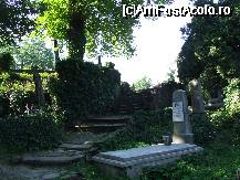 [P21] Sighisoara - printre morminte, unele vechi de sute de ani » foto by danoradea
 - 
<span class="allrVoted glyphicon glyphicon-heart hidden" id="av34267"></span>
<a class="m-l-10 hidden" id="sv34267" onclick="voting_Foto_DelVot(,34267,4175)" role="button">șterge vot <span class="glyphicon glyphicon-remove"></span></a>
<a id="v934267" class=" c-red"  onclick="voting_Foto_SetVot(34267)" role="button"><span class="glyphicon glyphicon-heart-empty"></span> <b>LIKE</b> = Votează poza</a> <img class="hidden"  id="f34267W9" src="/imagini/loader.gif" border="0" /><span class="AjErrMes hidden" id="e34267ErM"></span>