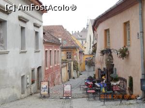 [P11] Sighisoara – pe urmele lui Vlad Dracul » foto by Diaura*
 - 
<span class="allrVoted glyphicon glyphicon-heart hidden" id="av1065255"></span>
<a class="m-l-10 hidden" id="sv1065255" onclick="voting_Foto_DelVot(,1065255,4175)" role="button">șterge vot <span class="glyphicon glyphicon-remove"></span></a>
<a id="v91065255" class=" c-red"  onclick="voting_Foto_SetVot(1065255)" role="button"><span class="glyphicon glyphicon-heart-empty"></span> <b>LIKE</b> = Votează poza</a> <img class="hidden"  id="f1065255W9" src="/imagini/loader.gif" border="0" /><span class="AjErrMes hidden" id="e1065255ErM"></span>