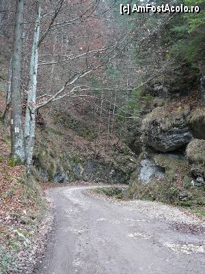 P12 [NOV-2012] Locul unde drumul iese din Chei. În stânga se vede un traseu marcat ce face legătura cu satul Ciocanu