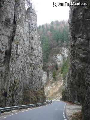 P04 [NOV-2012] Tot în prima porţiune, unde valea este îngustă