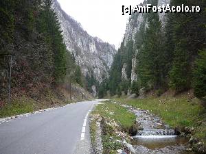 [P05] Treptat, valea se lărgeşte » foto by Claudiu U.
 - 
<span class="allrVoted glyphicon glyphicon-heart hidden" id="av414610"></span>
<a class="m-l-10 hidden" id="sv414610" onclick="voting_Foto_DelVot(,414610,4190)" role="button">șterge vot <span class="glyphicon glyphicon-remove"></span></a>
<a id="v9414610" class=" c-red"  onclick="voting_Foto_SetVot(414610)" role="button"><span class="glyphicon glyphicon-heart-empty"></span> <b>LIKE</b> = Votează poza</a> <img class="hidden"  id="f414610W9" src="/imagini/loader.gif" border="0" /><span class="AjErrMes hidden" id="e414610ErM"></span>