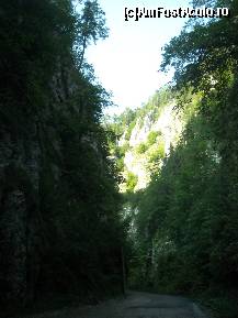 [P03]  -- <small>// FĂRĂ DESCRIERE</small> » foto by UiteUnPaiRoz
 - 
<span class="allrVoted glyphicon glyphicon-heart hidden" id="av118966"></span>
<a class="m-l-10 hidden" id="sv118966" onclick="voting_Foto_DelVot(,118966,4190)" role="button">șterge vot <span class="glyphicon glyphicon-remove"></span></a>
<a id="v9118966" class=" c-red"  onclick="voting_Foto_SetVot(118966)" role="button"><span class="glyphicon glyphicon-heart-empty"></span> <b>LIKE</b> = Votează poza</a> <img class="hidden"  id="f118966W9" src="/imagini/loader.gif" border="0" /><span class="AjErrMes hidden" id="e118966ErM"></span>