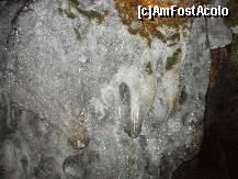 [P18] Imagine din Pestera Dambovicioara » foto by Lumis66
 - 
<span class="allrVoted glyphicon glyphicon-heart hidden" id="av227671"></span>
<a class="m-l-10 hidden" id="sv227671" onclick="voting_Foto_DelVot(,227671,4190)" role="button">șterge vot <span class="glyphicon glyphicon-remove"></span></a>
<a id="v9227671" class=" c-red"  onclick="voting_Foto_SetVot(227671)" role="button"><span class="glyphicon glyphicon-heart-empty"></span> <b>LIKE</b> = Votează poza</a> <img class="hidden"  id="f227671W9" src="/imagini/loader.gif" border="0" /><span class="AjErrMes hidden" id="e227671ErM"></span>