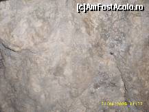 [P16] Peretii pesterei » foto by raduu1972
 - 
<span class="allrVoted glyphicon glyphicon-heart hidden" id="av152121"></span>
<a class="m-l-10 hidden" id="sv152121" onclick="voting_Foto_DelVot(,152121,4190)" role="button">șterge vot <span class="glyphicon glyphicon-remove"></span></a>
<a id="v9152121" class=" c-red"  onclick="voting_Foto_SetVot(152121)" role="button"><span class="glyphicon glyphicon-heart-empty"></span> <b>LIKE</b> = Votează poza</a> <img class="hidden"  id="f152121W9" src="/imagini/loader.gif" border="0" /><span class="AjErrMes hidden" id="e152121ErM"></span>