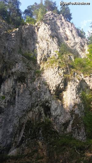 [P20] Imagine din Valea Cheii » foto by costy69*
 - 
<span class="allrVoted glyphicon glyphicon-heart hidden" id="av655608"></span>
<a class="m-l-10 hidden" id="sv655608" onclick="voting_Foto_DelVot(,655608,4190)" role="button">șterge vot <span class="glyphicon glyphicon-remove"></span></a>
<a id="v9655608" class=" c-red"  onclick="voting_Foto_SetVot(655608)" role="button"><span class="glyphicon glyphicon-heart-empty"></span> <b>LIKE</b> = Votează poza</a> <img class="hidden"  id="f655608W9" src="/imagini/loader.gif" border="0" /><span class="AjErrMes hidden" id="e655608ErM"></span>