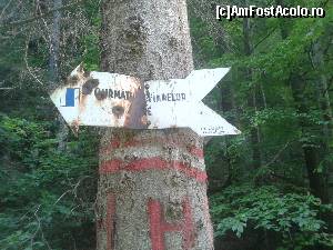 [P21] Indicatorul spre Curmătura Fiarelor » foto by costy69*
 - 
<span class="allrVoted glyphicon glyphicon-heart hidden" id="av655609"></span>
<a class="m-l-10 hidden" id="sv655609" onclick="voting_Foto_DelVot(,655609,4190)" role="button">șterge vot <span class="glyphicon glyphicon-remove"></span></a>
<a id="v9655609" class=" c-red"  onclick="voting_Foto_SetVot(655609)" role="button"><span class="glyphicon glyphicon-heart-empty"></span> <b>LIKE</b> = Votează poza</a> <img class="hidden"  id="f655609W9" src="/imagini/loader.gif" border="0" /><span class="AjErrMes hidden" id="e655609ErM"></span>