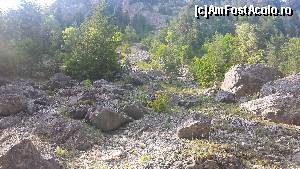 [P22] Alt cadru din Valea Cheii » foto by costy69*
 - 
<span class="allrVoted glyphicon glyphicon-heart hidden" id="av655610"></span>
<a class="m-l-10 hidden" id="sv655610" onclick="voting_Foto_DelVot(,655610,4190)" role="button">șterge vot <span class="glyphicon glyphicon-remove"></span></a>
<a id="v9655610" class=" c-red"  onclick="voting_Foto_SetVot(655610)" role="button"><span class="glyphicon glyphicon-heart-empty"></span> <b>LIKE</b> = Votează poza</a> <img class="hidden"  id="f655610W9" src="/imagini/loader.gif" border="0" /><span class="AjErrMes hidden" id="e655610ErM"></span>