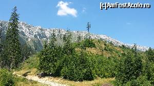 [P37] Ne apropiem de Poiana Grind. În plan îndepărtat Munții Piatra Craiului » foto by costy69*
 - 
<span class="allrVoted glyphicon glyphicon-heart hidden" id="av655651"></span>
<a class="m-l-10 hidden" id="sv655651" onclick="voting_Foto_DelVot(,655651,4190)" role="button">șterge vot <span class="glyphicon glyphicon-remove"></span></a>
<a id="v9655651" class=" c-red"  onclick="voting_Foto_SetVot(655651)" role="button"><span class="glyphicon glyphicon-heart-empty"></span> <b>LIKE</b> = Votează poza</a> <img class="hidden"  id="f655651W9" src="/imagini/loader.gif" border="0" /><span class="AjErrMes hidden" id="e655651ErM"></span>