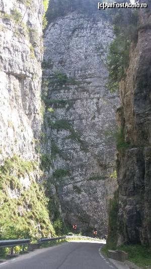 [P05] Alt cadru de la intrarea în Cheile Dâmbovicioarei » foto by costy69*
 - 
<span class="allrVoted glyphicon glyphicon-heart hidden" id="av655593"></span>
<a class="m-l-10 hidden" id="sv655593" onclick="voting_Foto_DelVot(,655593,4190)" role="button">șterge vot <span class="glyphicon glyphicon-remove"></span></a>
<a id="v9655593" class=" c-red"  onclick="voting_Foto_SetVot(655593)" role="button"><span class="glyphicon glyphicon-heart-empty"></span> <b>LIKE</b> = Votează poza</a> <img class="hidden"  id="f655593W9" src="/imagini/loader.gif" border="0" /><span class="AjErrMes hidden" id="e655593ErM"></span>