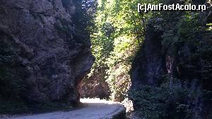 [P06] Cheile Dâmbovicioarei - în prima parte » foto by costy69*
 - 
<span class="allrVoted glyphicon glyphicon-heart hidden" id="av655594"></span>
<a class="m-l-10 hidden" id="sv655594" onclick="voting_Foto_DelVot(,655594,4190)" role="button">șterge vot <span class="glyphicon glyphicon-remove"></span></a>
<a id="v9655594" class=" c-red"  onclick="voting_Foto_SetVot(655594)" role="button"><span class="glyphicon glyphicon-heart-empty"></span> <b>LIKE</b> = Votează poza</a> <img class="hidden"  id="f655594W9" src="/imagini/loader.gif" border="0" /><span class="AjErrMes hidden" id="e655594ErM"></span>